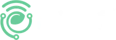 Mintyfi